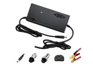 Lithium Iron Phosphate Battery Smart Charger